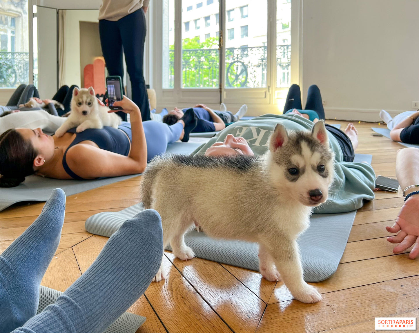 Paws Yoga