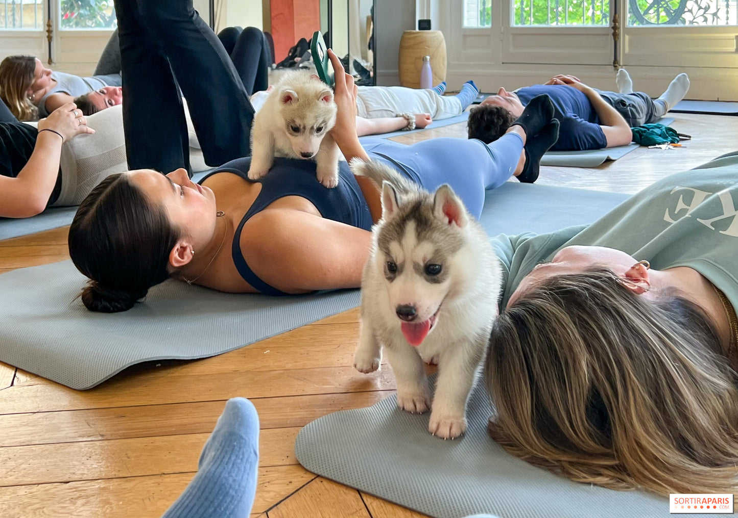Paws Yoga